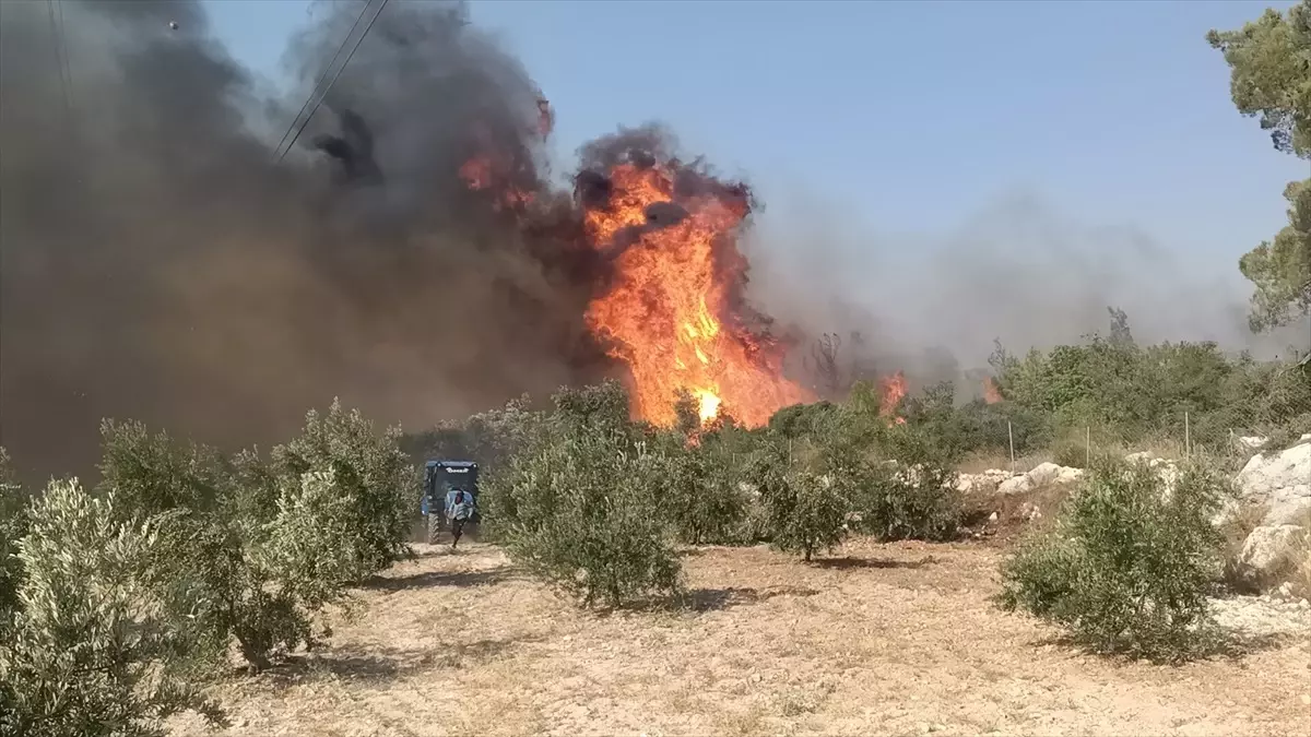 Silifke’de Orman Yangınına Müdahale