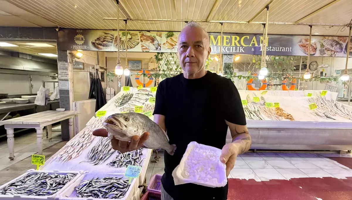 balikta sifali tas inanisi 1bxrhQ9v