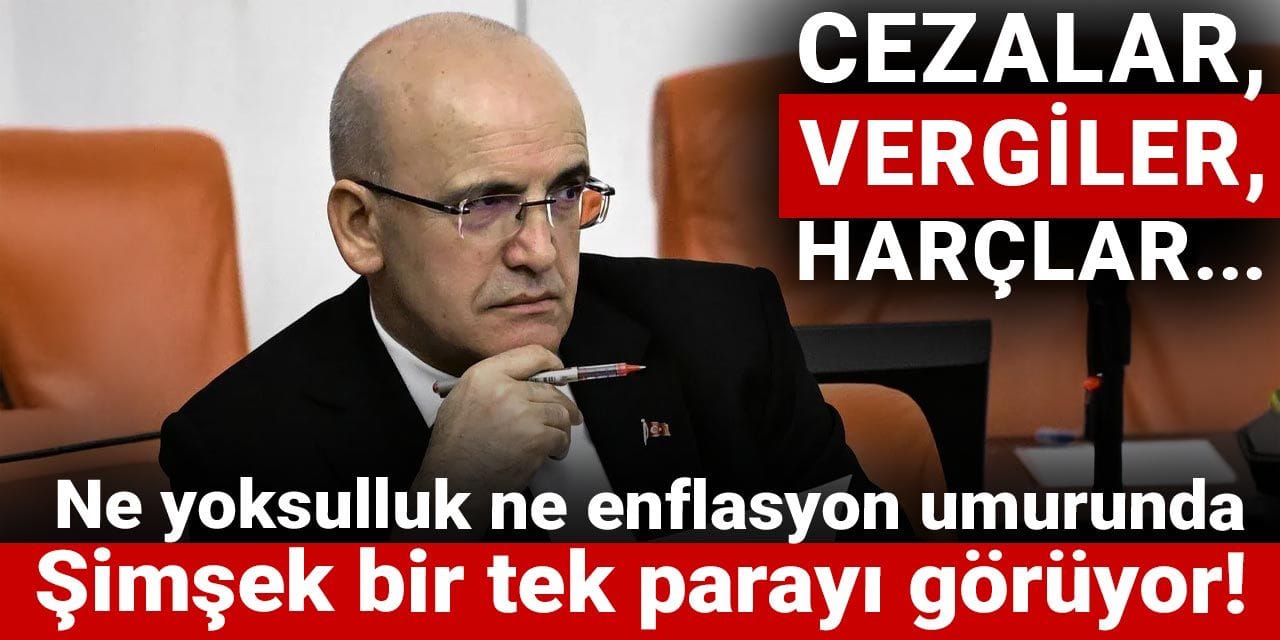 cezalar vergiler harclar ne yoksulluk ne enflasyon umurunda simsek bir tek parayi goruyor S1eNVbzg