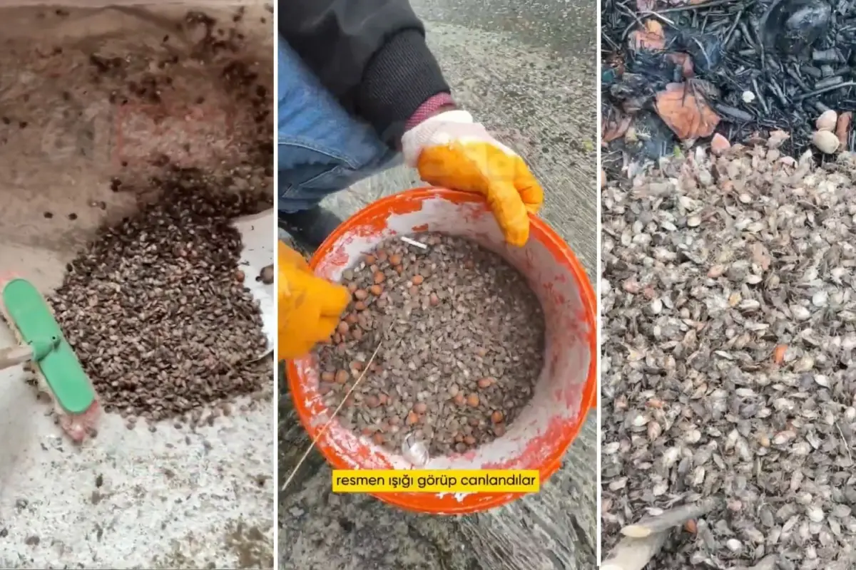 turkiyenin oteki gundemi son virajdayiz diyen vatandastan endiselendiren sozler vkIIFe4Y.jpg