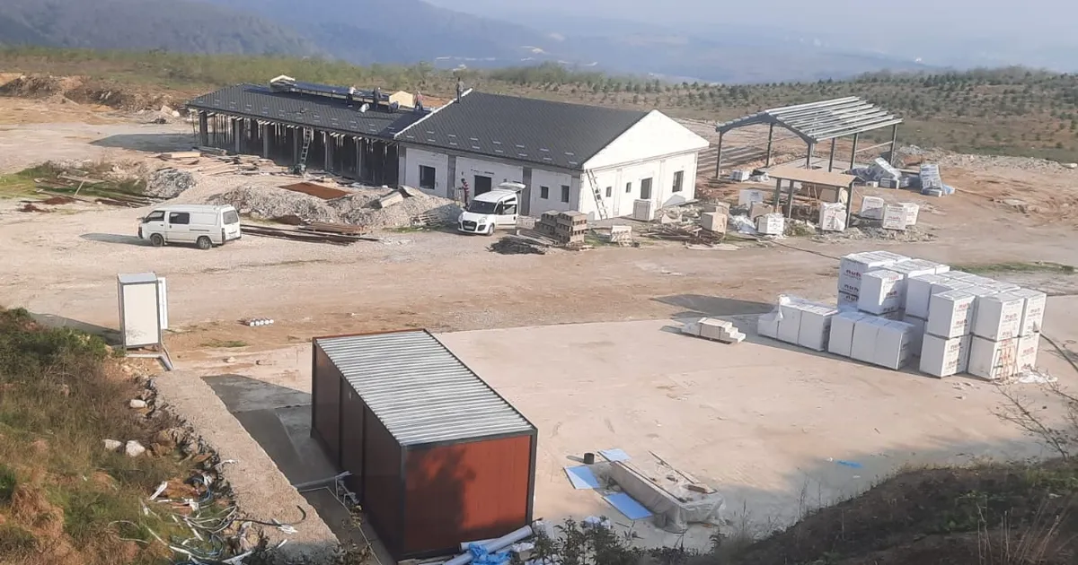 izmit belediyesi dost pati yasam alaninda calismalar tum hiziyla devam ediyor VtHYvRnb.webp