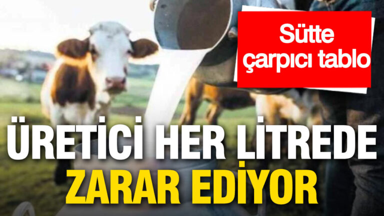 sutte-carpici-tablo-uretici-her-litrede-zarar-ediyor-sRSlZJsL
