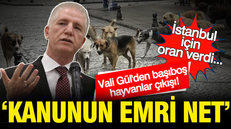 istanbul-valisi-davut-gulden-basibos-hayvanlar-cikisi-kanunun-emri-net-LiaZe7WC