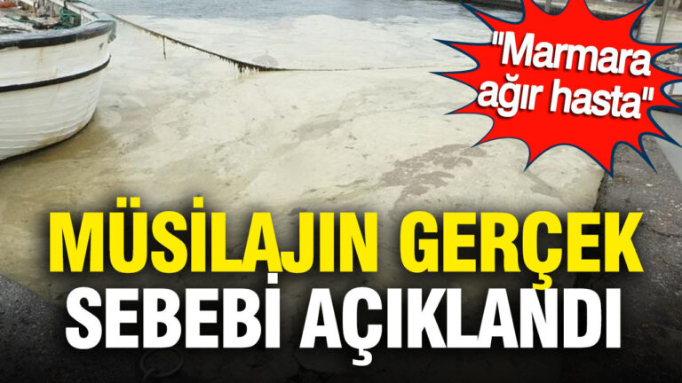 marmara-olu-degil-ama-agir-hasta-musilajin-esas-nedeni-aciklandi-tDirUXiM