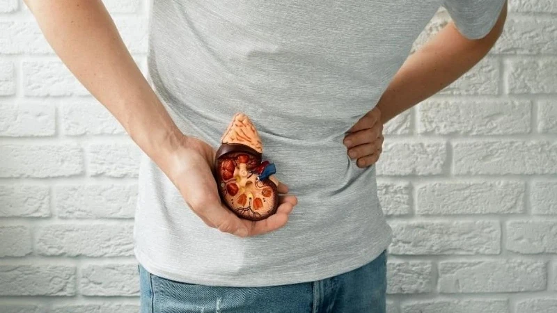 Su Tüketiminin Azlığı, Böbrek Taşı Riskini Artırıyor